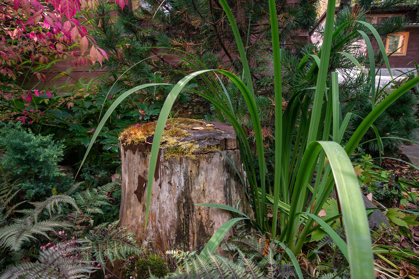 Проект Переделкино